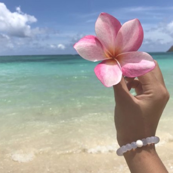 Meet your Posher, Ruby - Picture 1 of 1